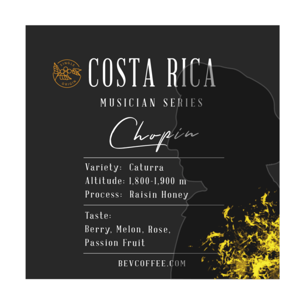 Costa Rica Musician Series Chopin - Image 2