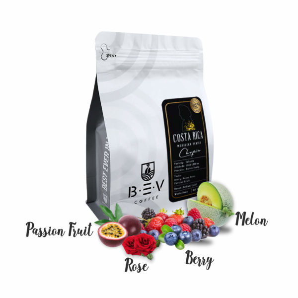Costa Rica Musician Series Chopin